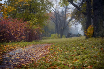 Naklejka premium Autumn misty landscape