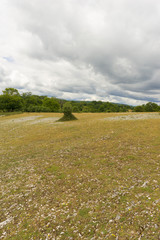 Natural park of Urbasa and andia in Navarra