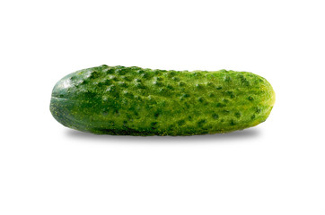Fresh cucumber  isolated on white background