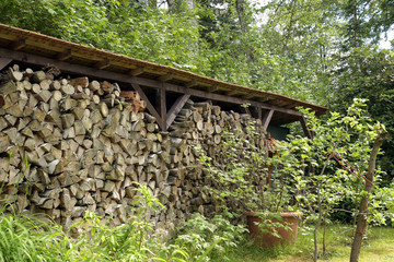 holzvorrat 