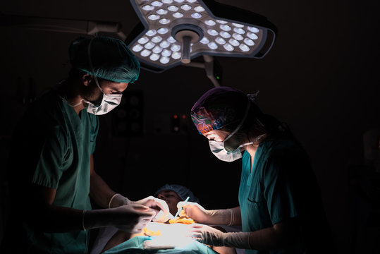 Doctors operating