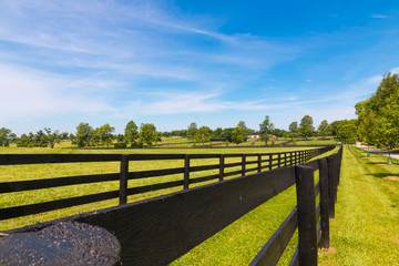 Fototapeta premium Country landscape.