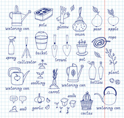 Gardening vector set, equipment and tools, vegetables and plants