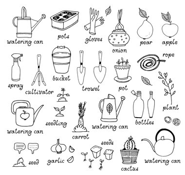 Gardening, horticulture vector set, equipment and tools, vegetables and plants isolated on white background
