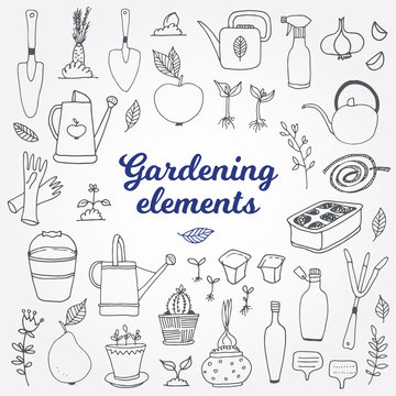 Gardening, horticulture vector set, equipment and tools, vegetables and plants isolated on light background with text