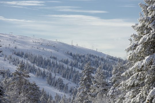 Fototapeta Winter landscape with snow covered trees, Sälen in Sweden.
