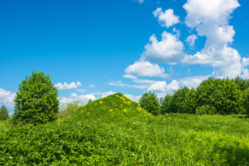 Big green hill with yellow flowers.
