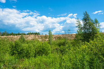 Fototapeta na wymiar Sandy ridge on a background of green forest and cloudy sky.