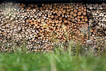 Drewno opalowe.Drewno opałowe poukładane w komórce do przechowywania drewna. - obrazy, fototapety, plakaty