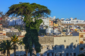 Obraz premium Tanger town architecture, Morocco, Africa