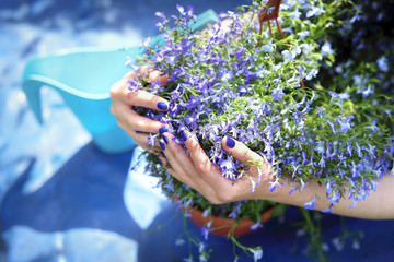 Ogród latem, kobieta podlewa pięknie kwitnący kwiat