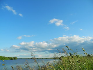 tall grass on a broad background of river and sky