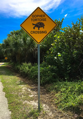 Verkehrsschild Schildkröten