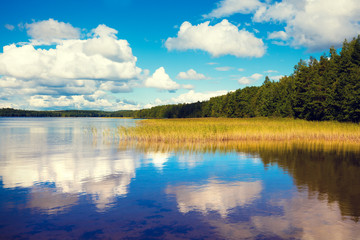 Fototapeta premium Lakeshore with trees and blue cloudy sky. Beautiful summer nature Finland