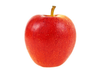 Red apple fruit on a white background