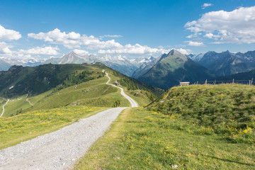 Fototapeta na wymiar Mountainbikestrecke - Bergstraße in den Alpen