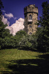 Fototapeta na wymiar Turm am schloss wilhelmstal