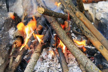 Bonfire in the forest ready for barbeque