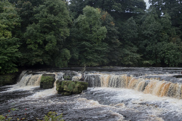 Obraz premium Aysgarth Falls