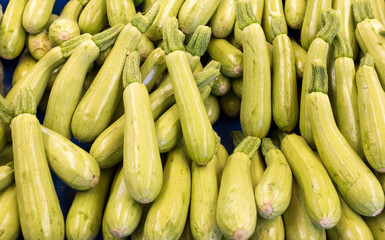 Fresh zucchini