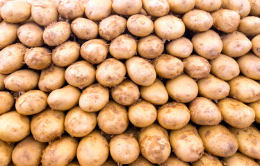 Potatoes, background