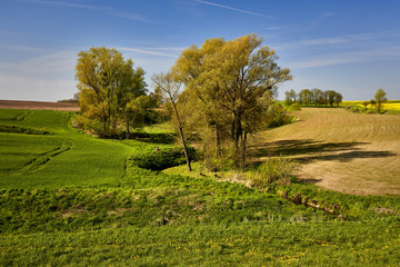 Fototapeta premium Spring time, Poland around the town of Sztum - Panorama