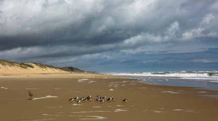 Beach and clouds