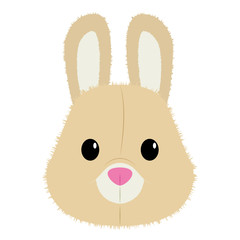 isolated bunny face