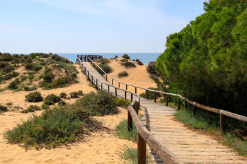 Wooden walkway leading to the beach, over the sand dunes, surrounded by mediterranean pines.