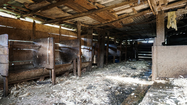 Cow trough