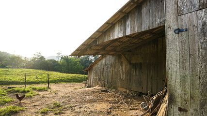 Naklejka premium Ranch and field