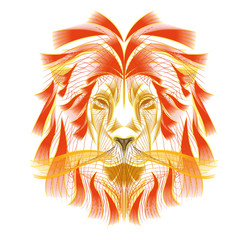 Fototapeta na wymiar Isolated outline of a lion face
