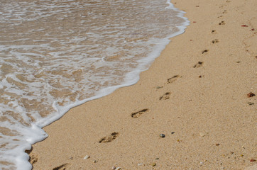 Footprints on the sand near Porto Covo, Portugal.