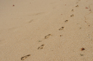 Fototapeta na wymiar Footprints on the sand near Porto Covo, Portugal.