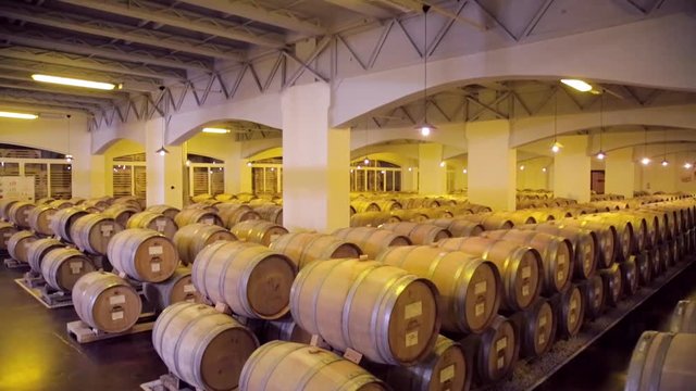 Wine barrels stacked in the cellar of the winery