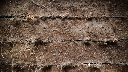 Texture of aged wood