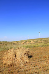 Autumn terraces and wind turbines