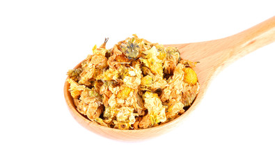 Dried Chrysanthemum flowers on a white background