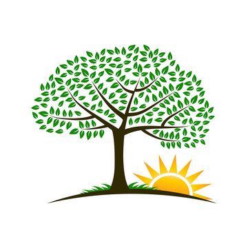 Tree Sunrise Image Logo