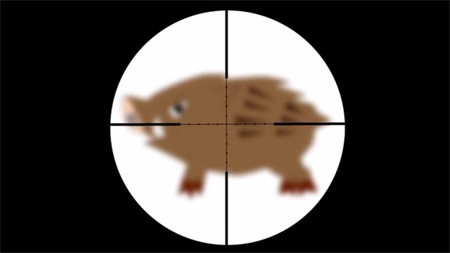 猪を銃で駆除する