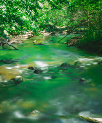 The Green in the Rapids