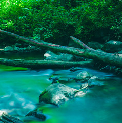 The Rocks in the River