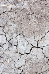 Dry and cracked earth background