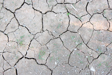 Dry and cracked earth background