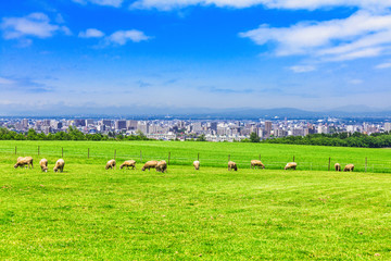 北海道 札幌 羊ヶ丘展望台