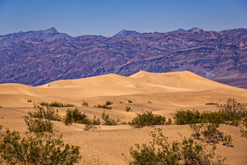 Fototapeta na wymiar Sand Dunes, Death Valley National Park, California, USA