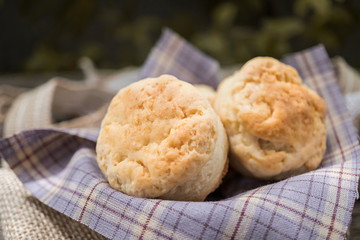 Homemade fresh classic scone on wood background