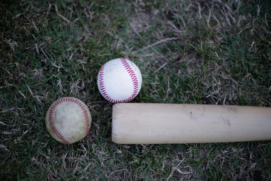Baseball with bat