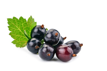 Delicious ripe black currant on a white background.