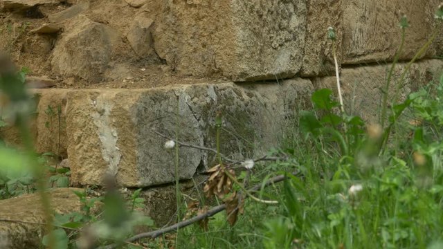 Ancient Dacian fortress constuction ruins site in forest in Carpathians.